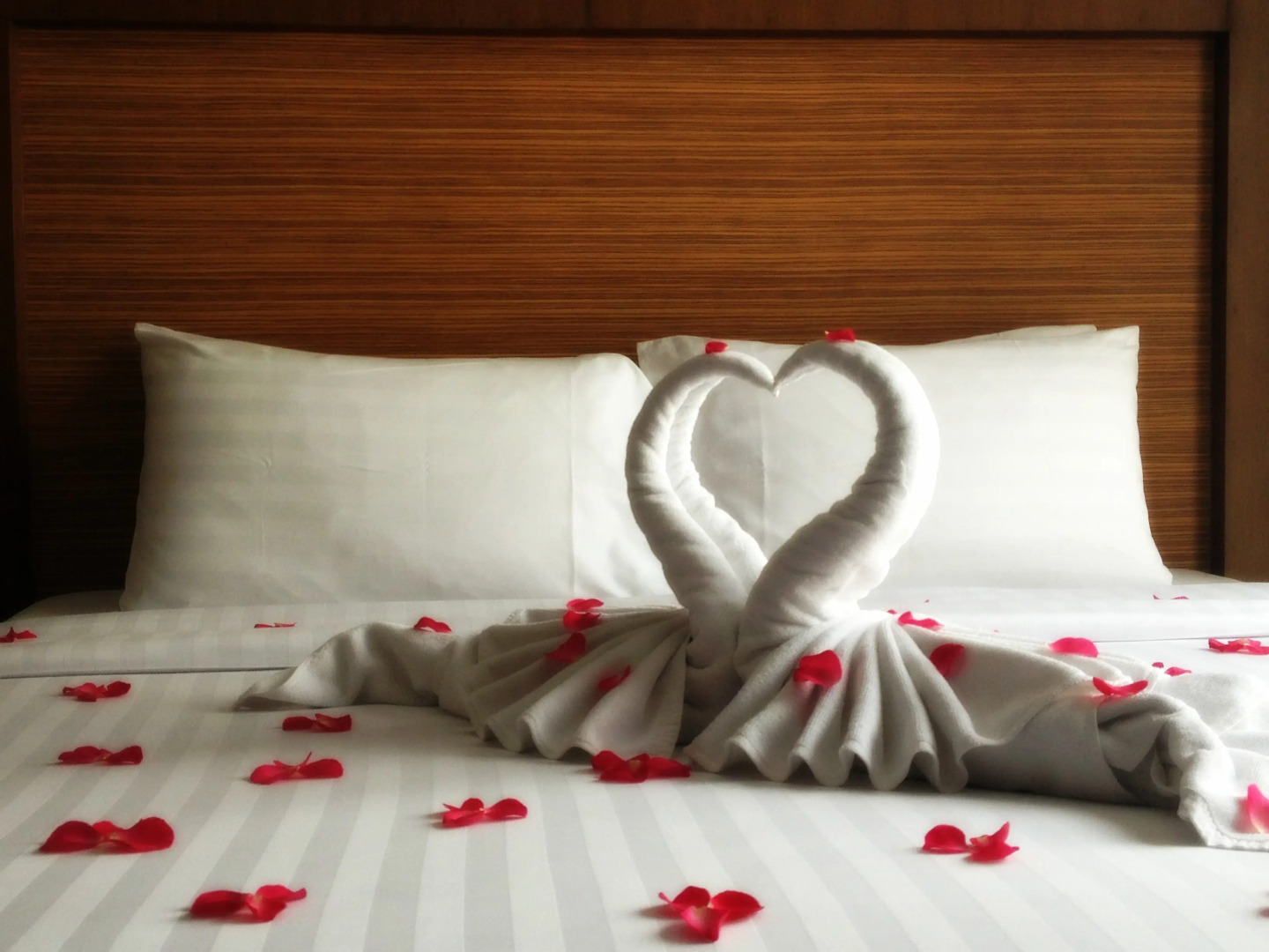 Отель Sacha's Hotel Uno