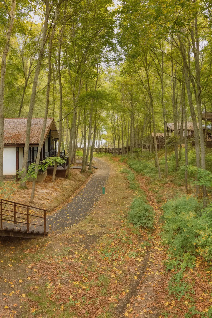 Отель Парк-отель Истра