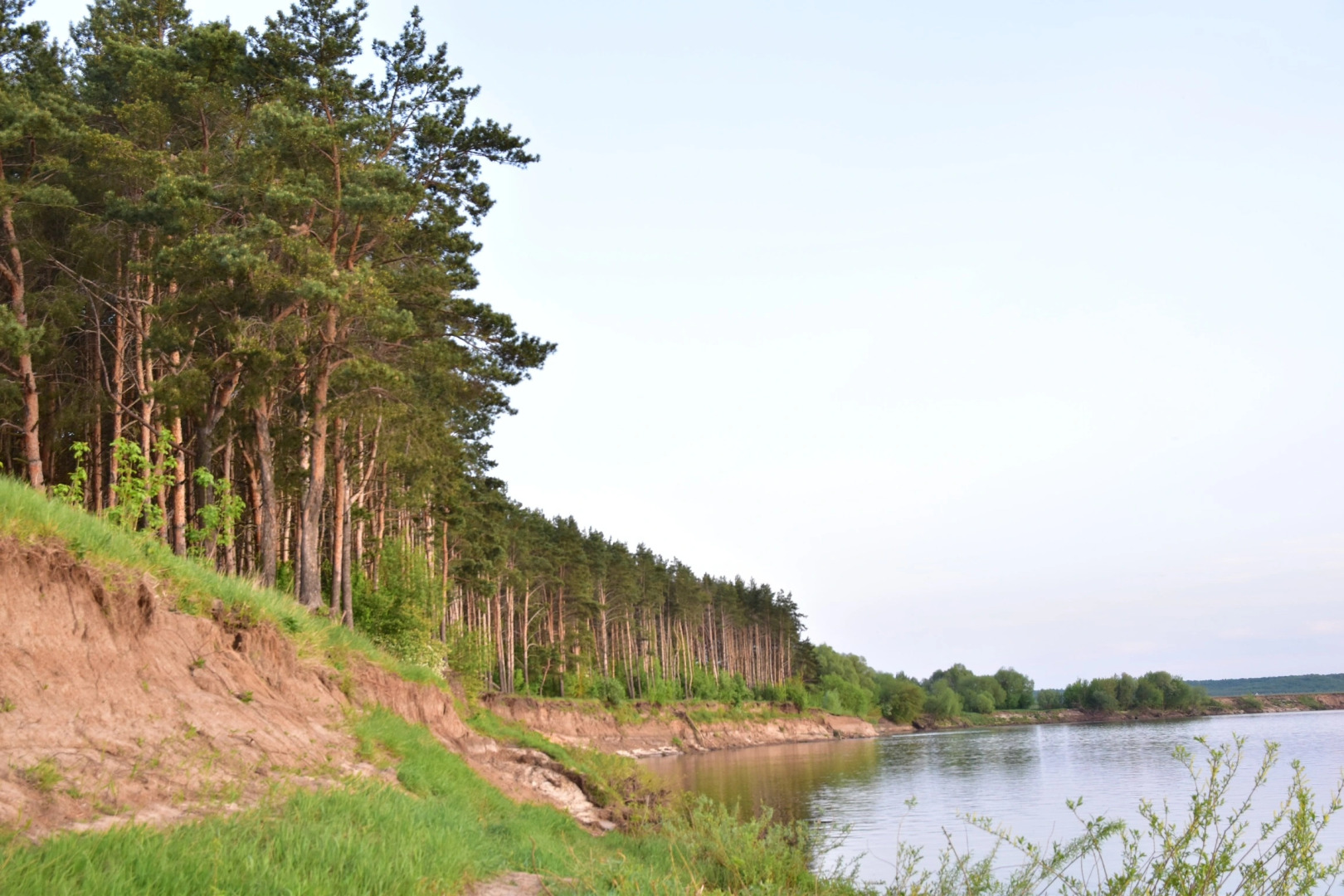 Шале Ромашки