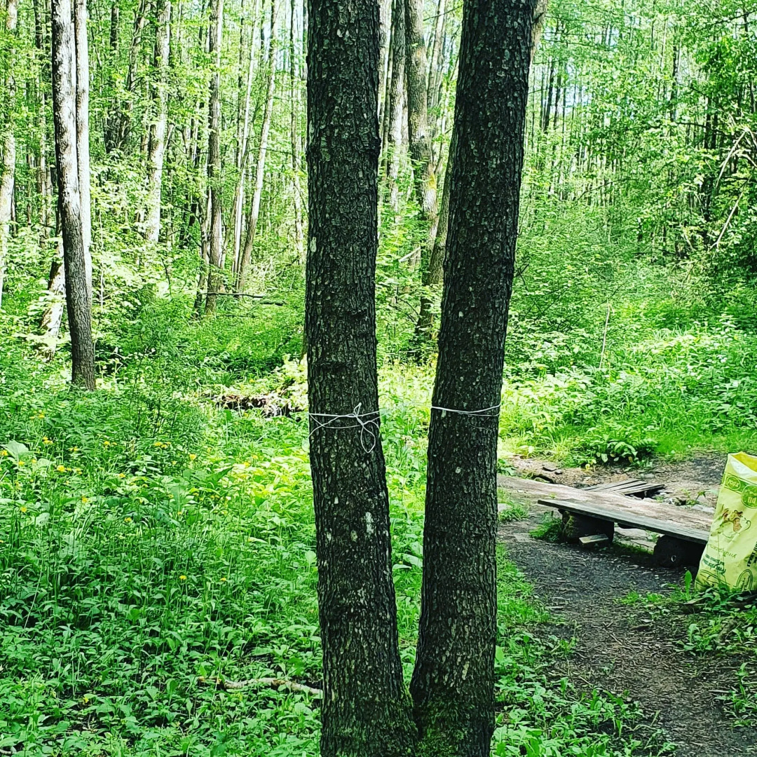 Гостевой дом Агроусадьба у Сан Саныча