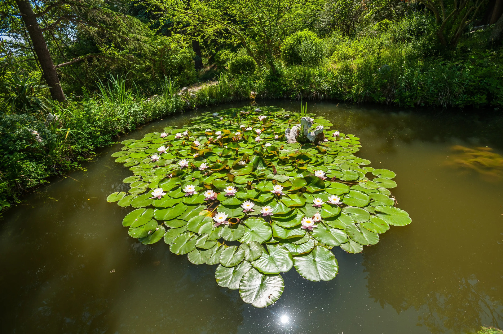 Foros Wellness & Park Sanatorium