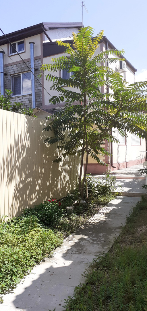 Anapskoe Vzmor'e Guest House