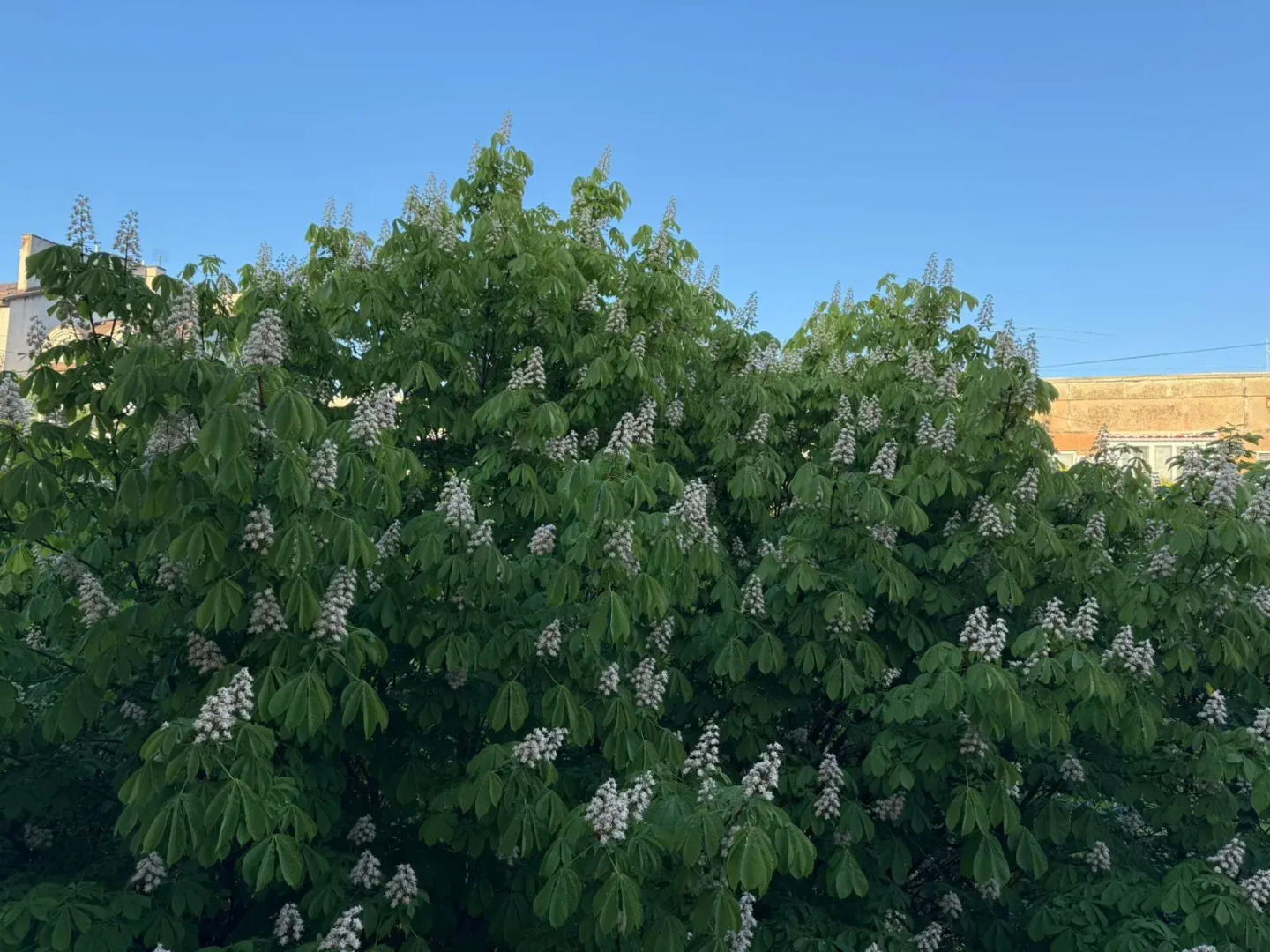 Апартаменты двухкомнатные в центре у озера