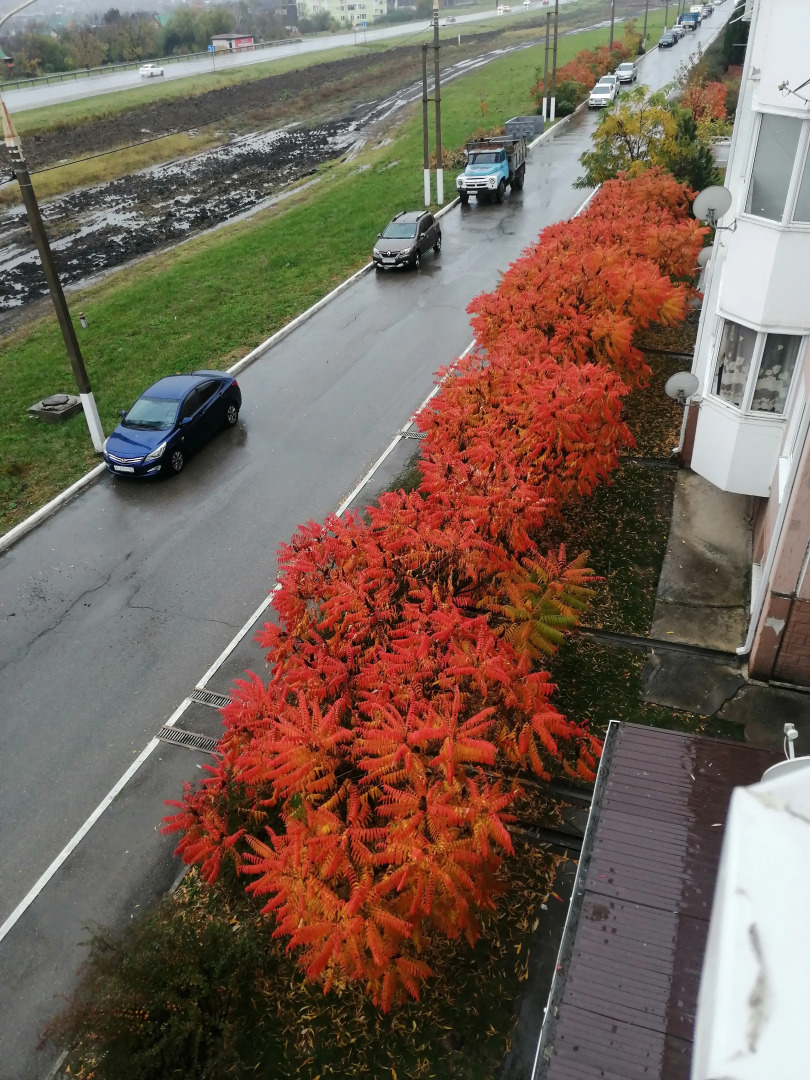 Апартаменты на Надежды 3