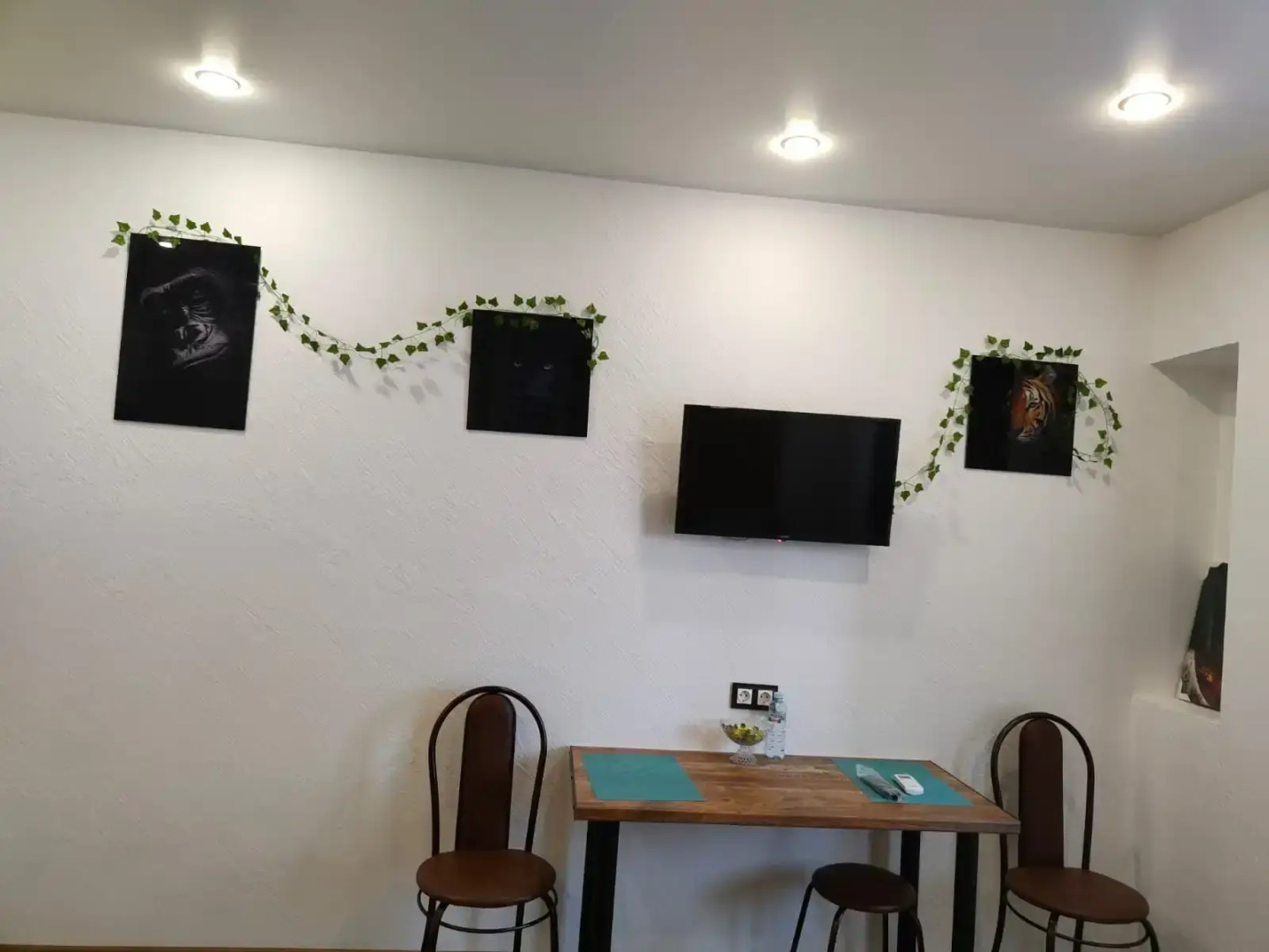 Апартаменты  "День & Ночь" Джунгли