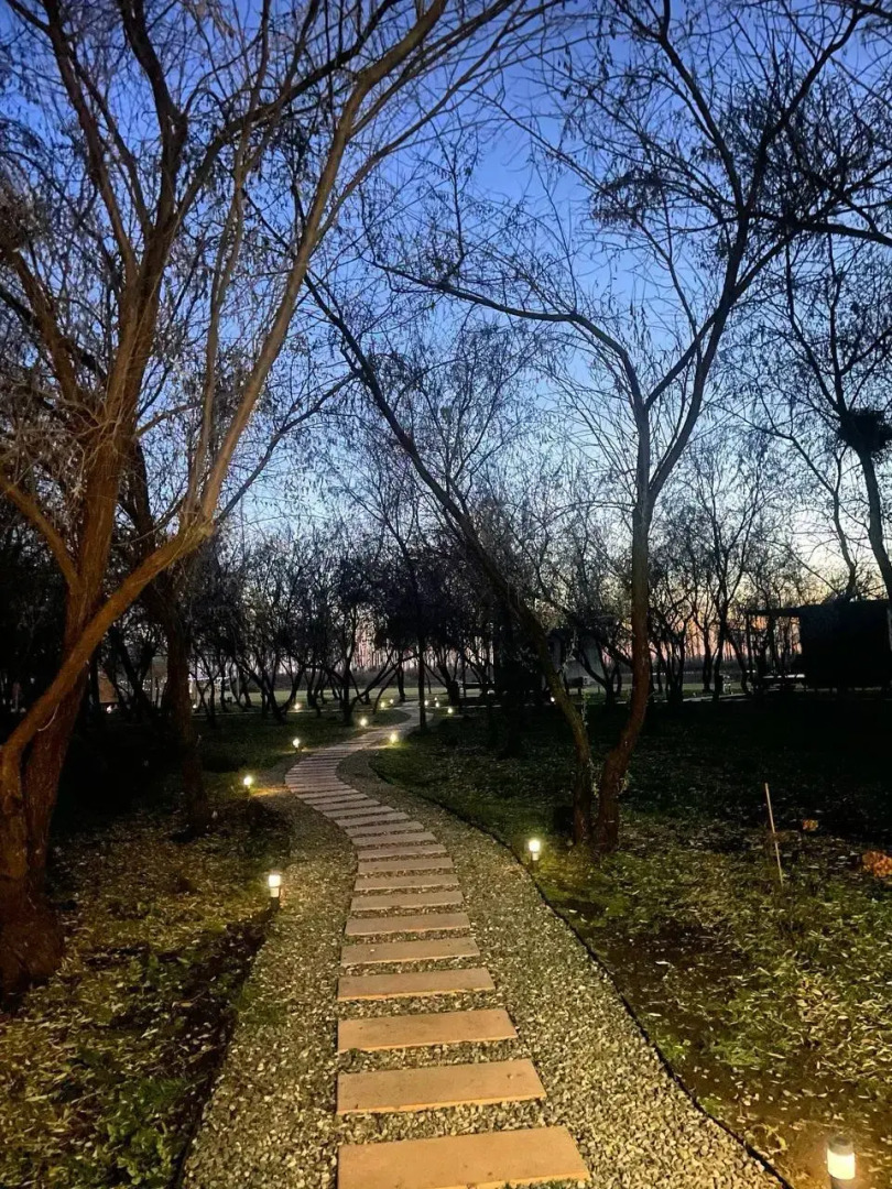 Глэмпинг Поляна