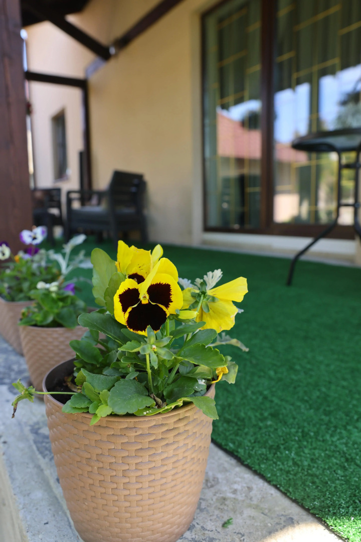 Гостевой дом WestWind