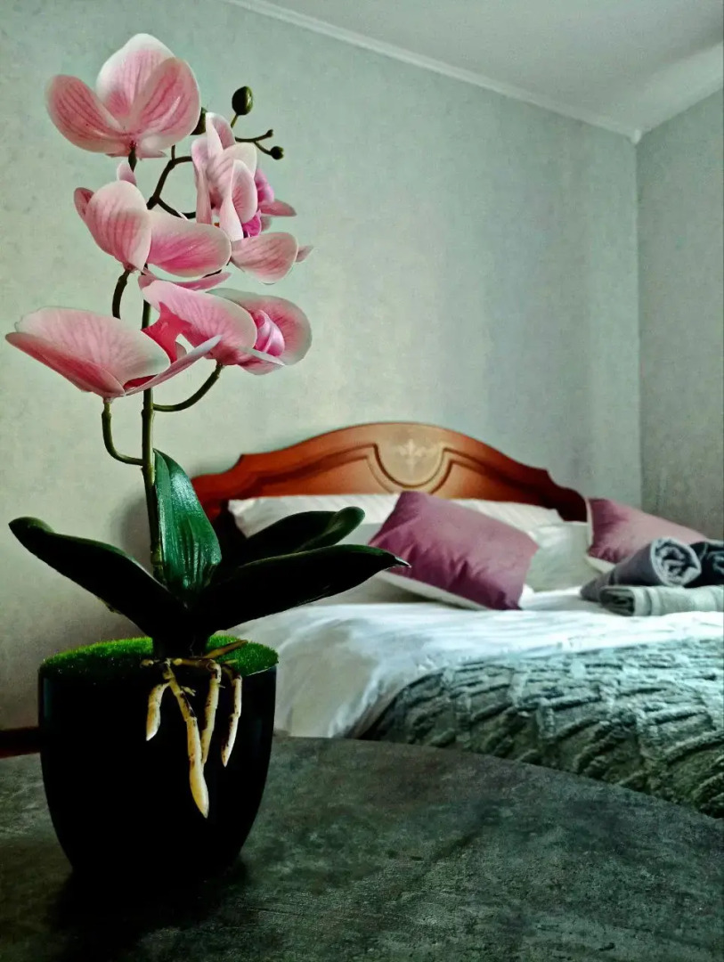 Квартира Двухместный эконом Pogostim