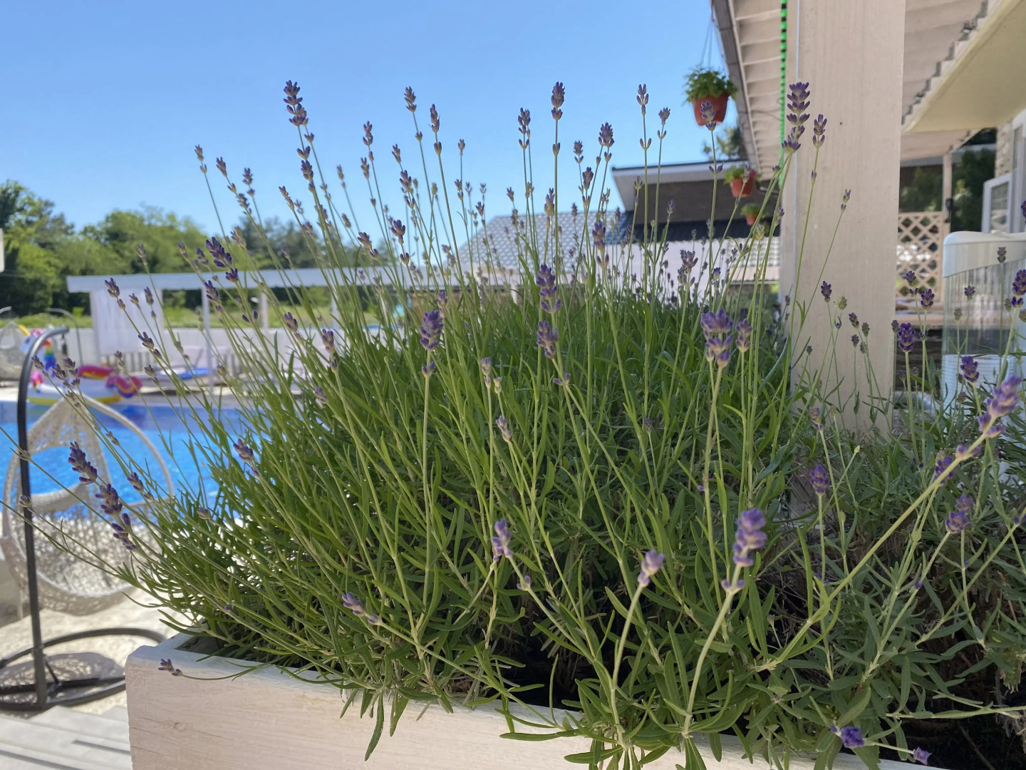 Отель Cromwell White