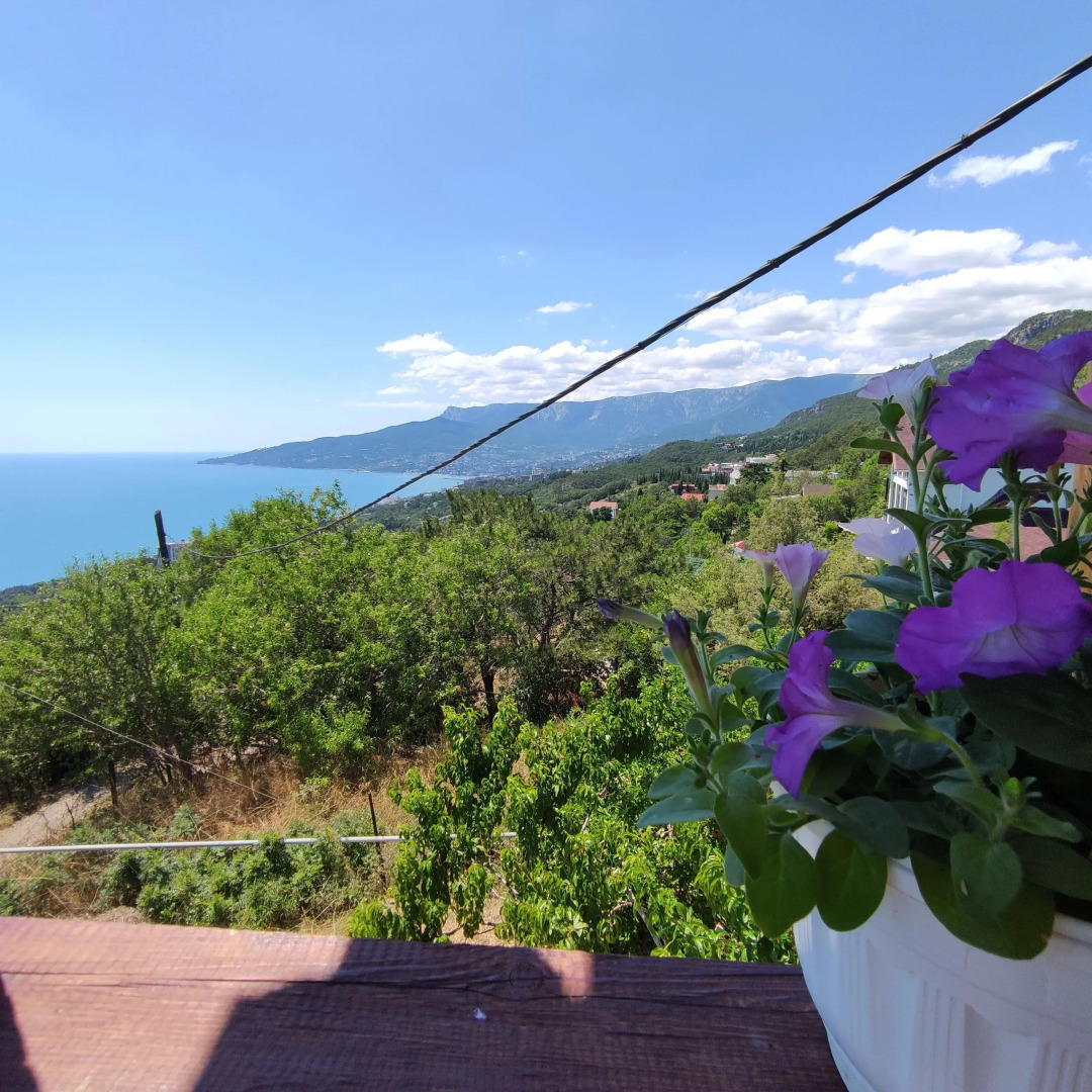 Гостевой Дом Панорамный Сруб