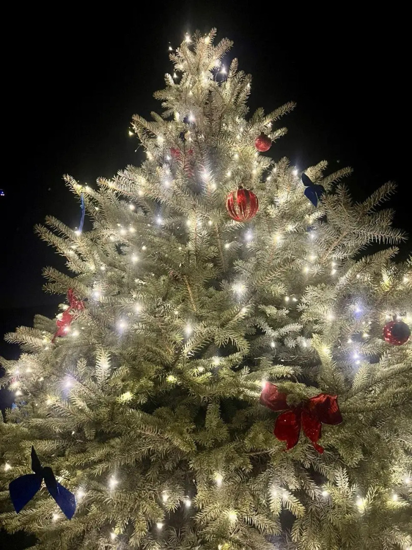 Частный дом с красивой костровой зоной