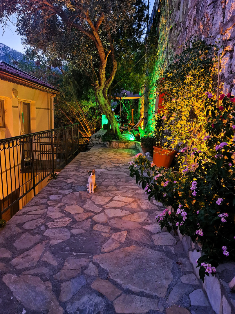 Apartments Serena Teras 1+1