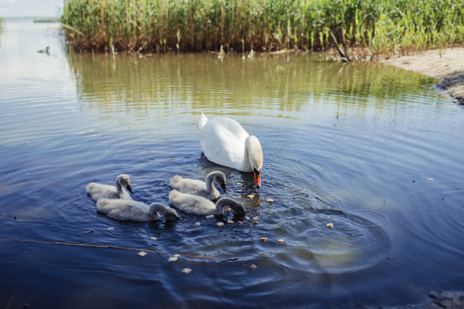 Мини-Отель Дом Рыболова