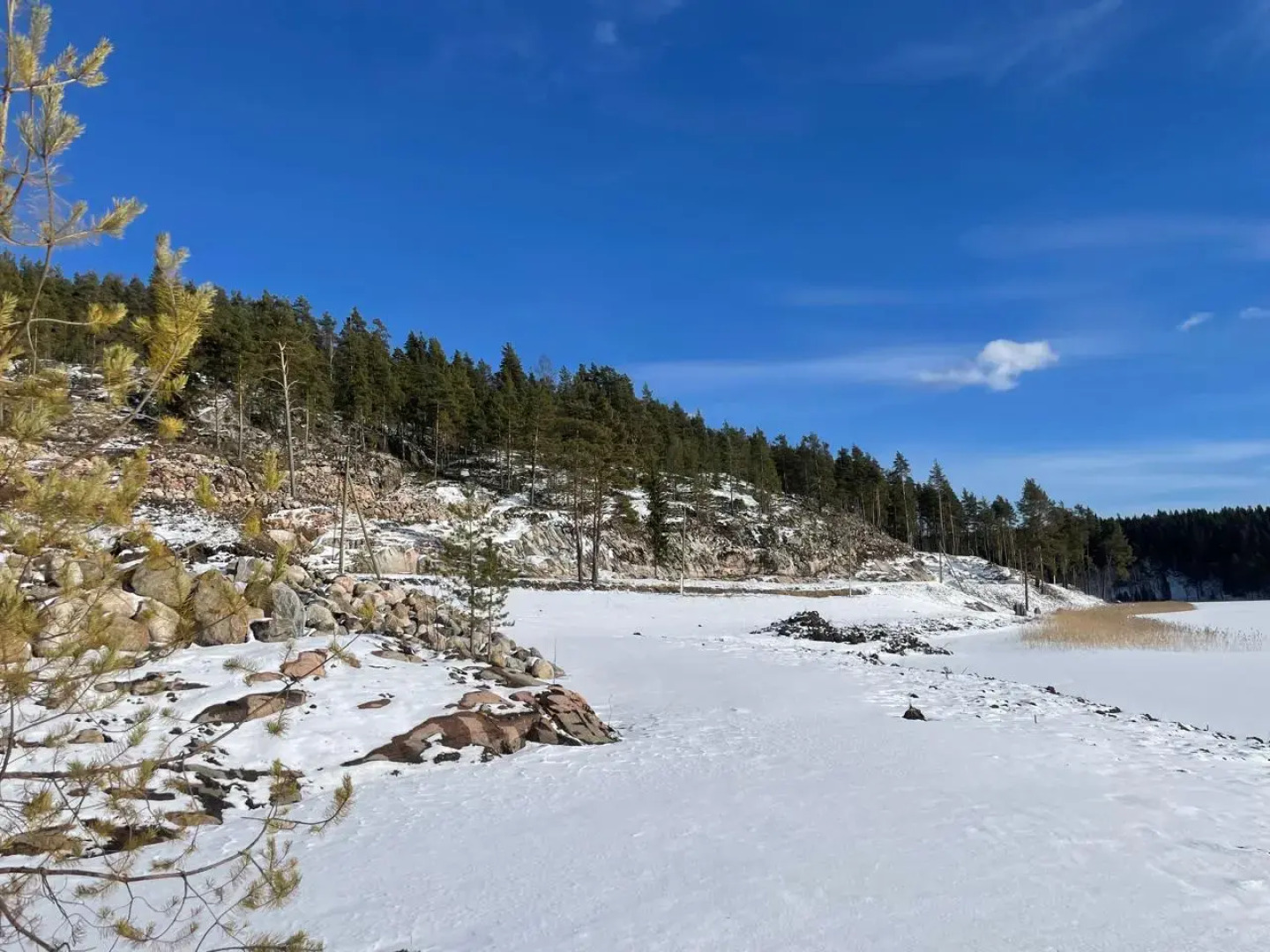 Частный дом Домики Ихоярви на озере (дом 3)