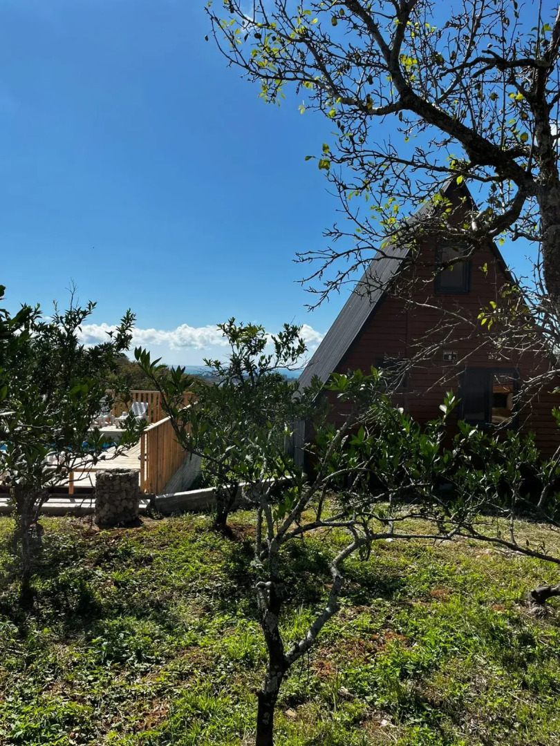 Гостевой Дом Айфреймы Пицунда