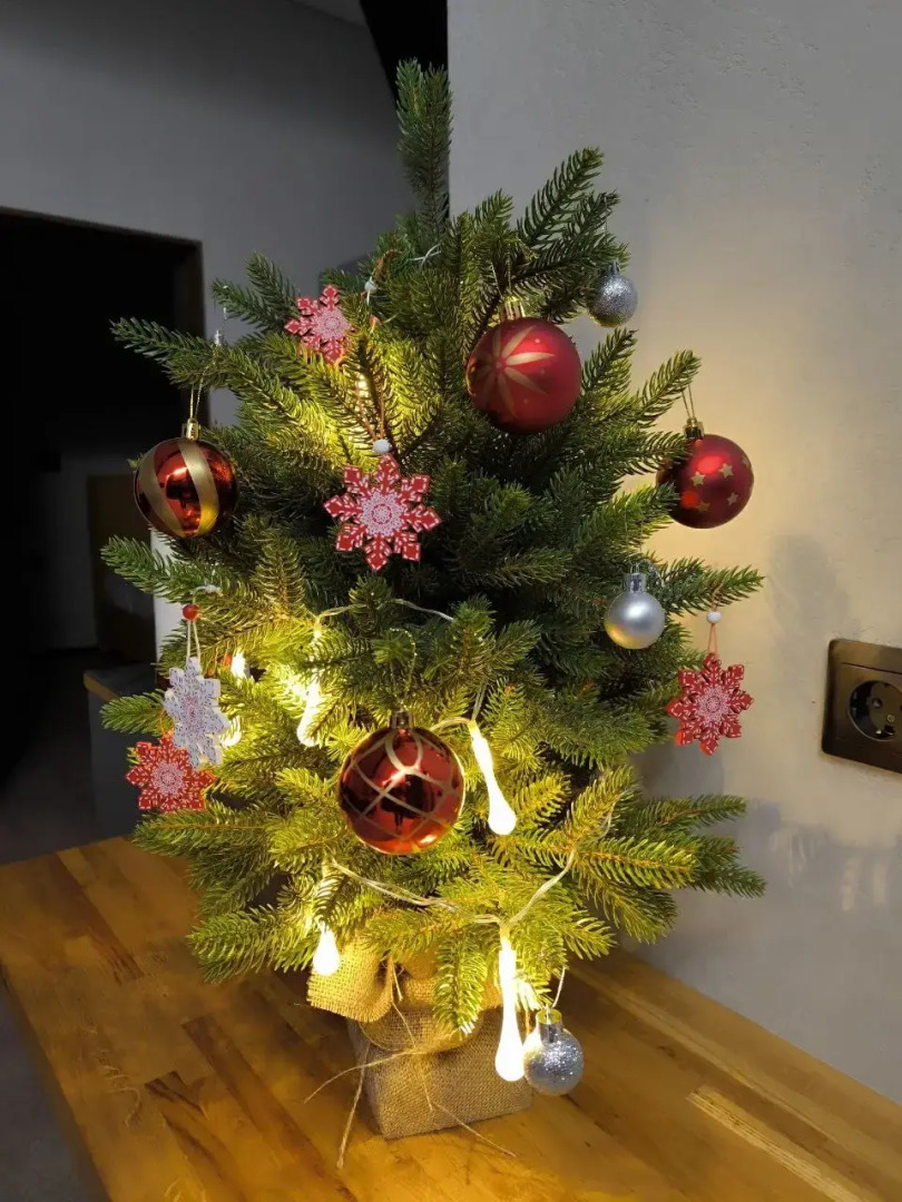 RentalSPb Redlake Красное Озеро