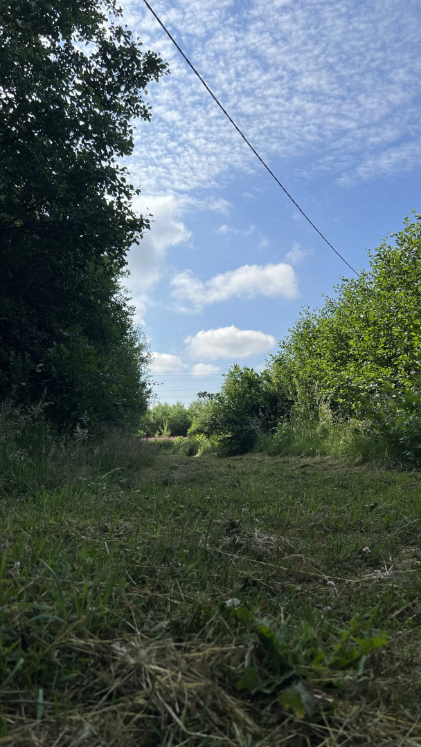 Гостевой дом Warnicken