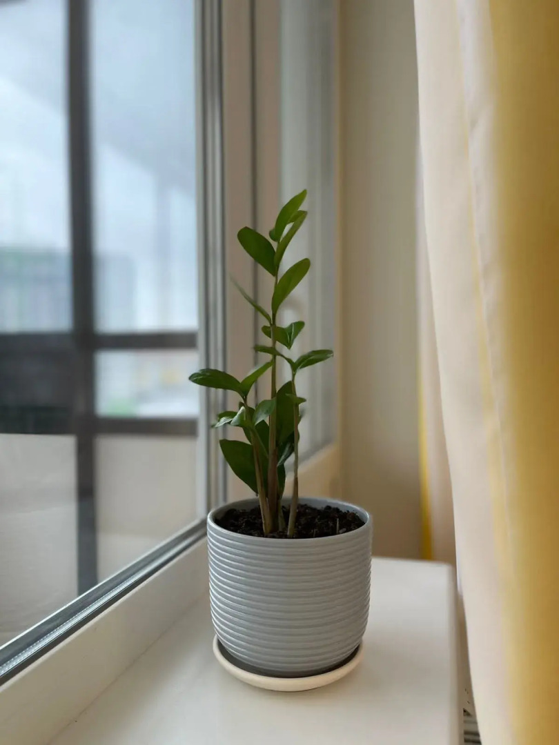 Квартира Уютная Просторная