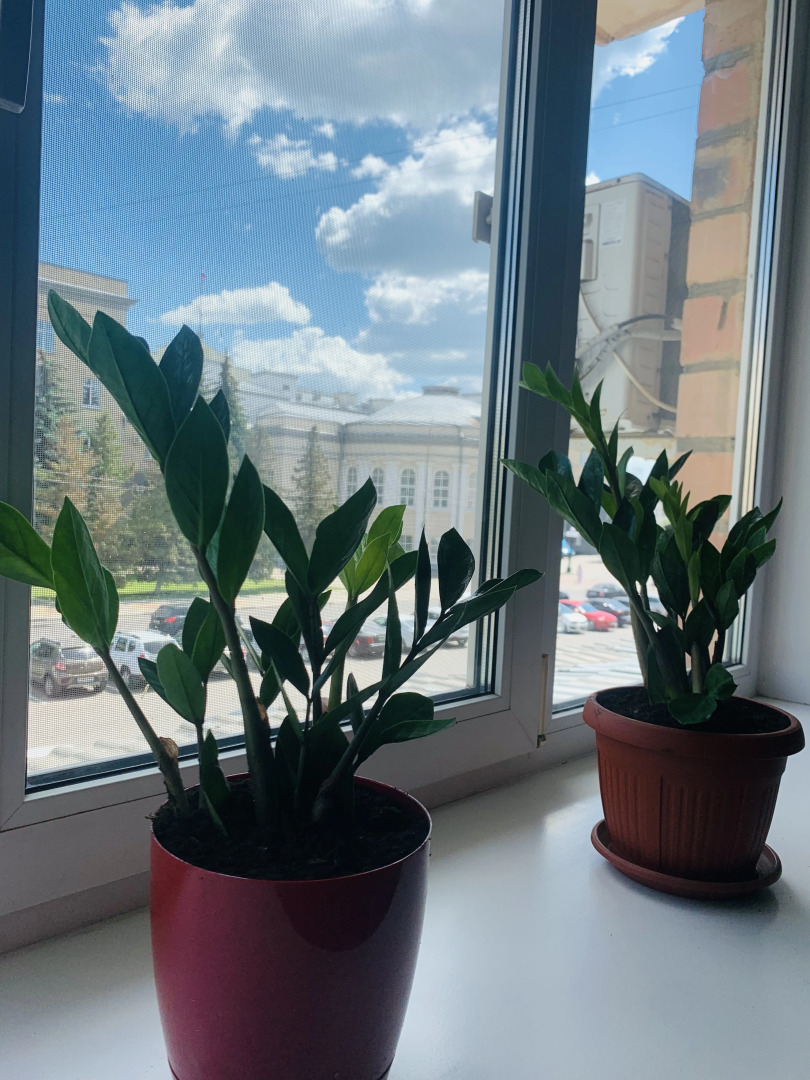 Апартаменты в Центре