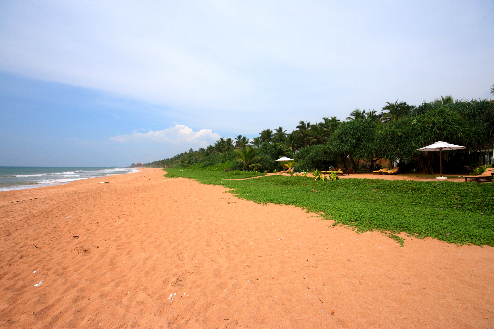 Отель Temple Tree Resort & Spa