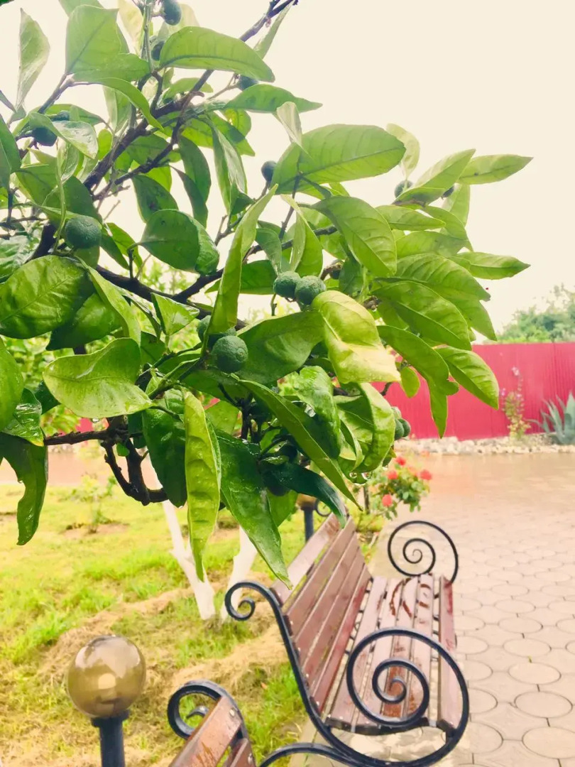 Отель Туристическо-Паломнический Центр Елисавета