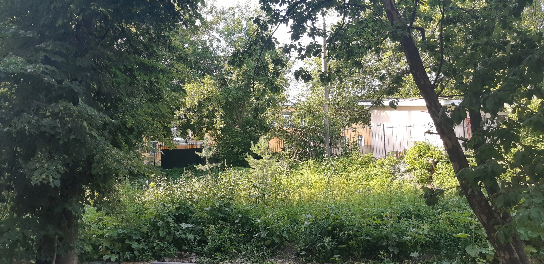 Квартира Esda