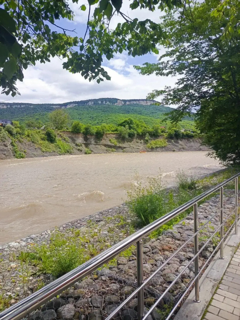 Отель Каштан