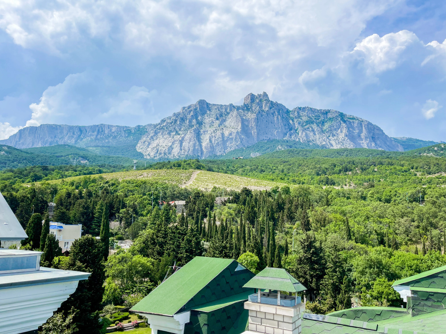 Отель Имение Князей Трубецких