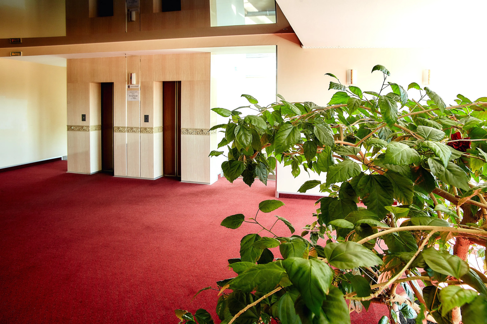 Отель Волна