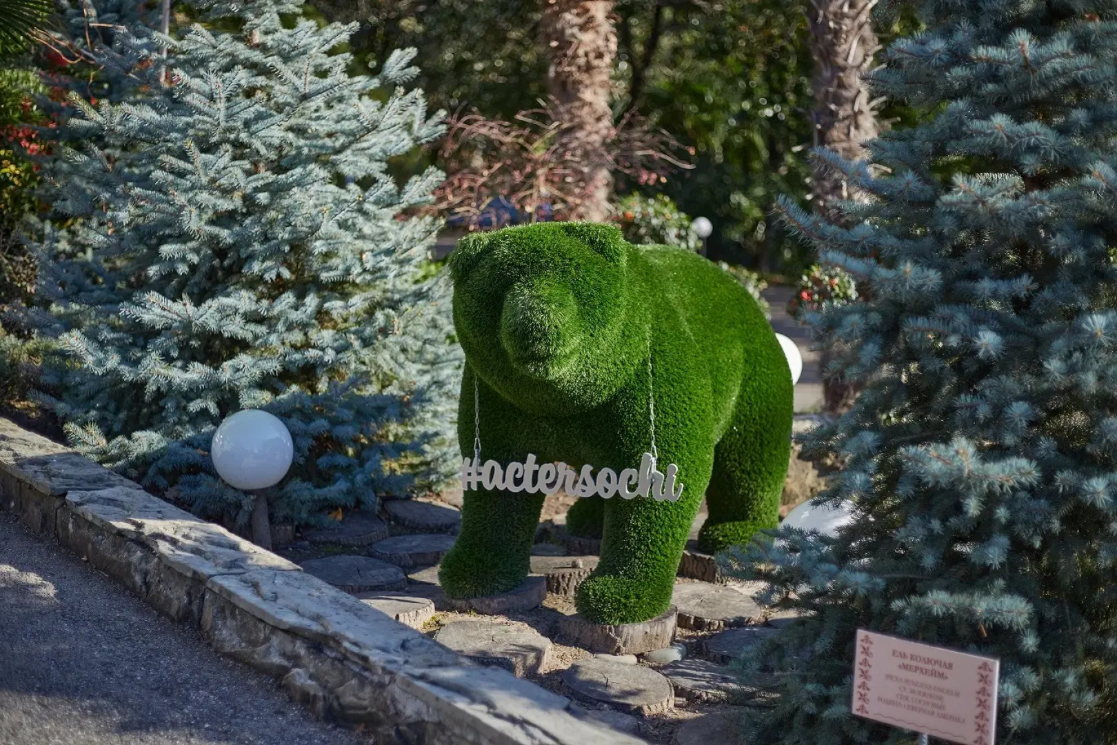 Санаторий Актер