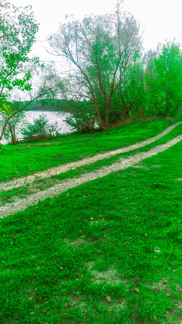 Гостевой дом Два белых льва на Дону