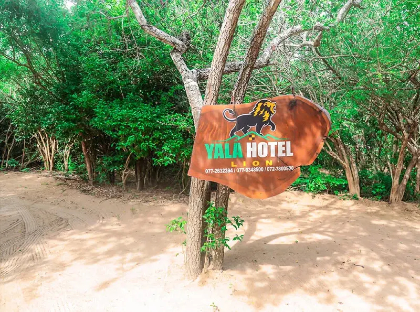 Отель Camping Yala Hotel Ravana luxury Safari Camp Tents