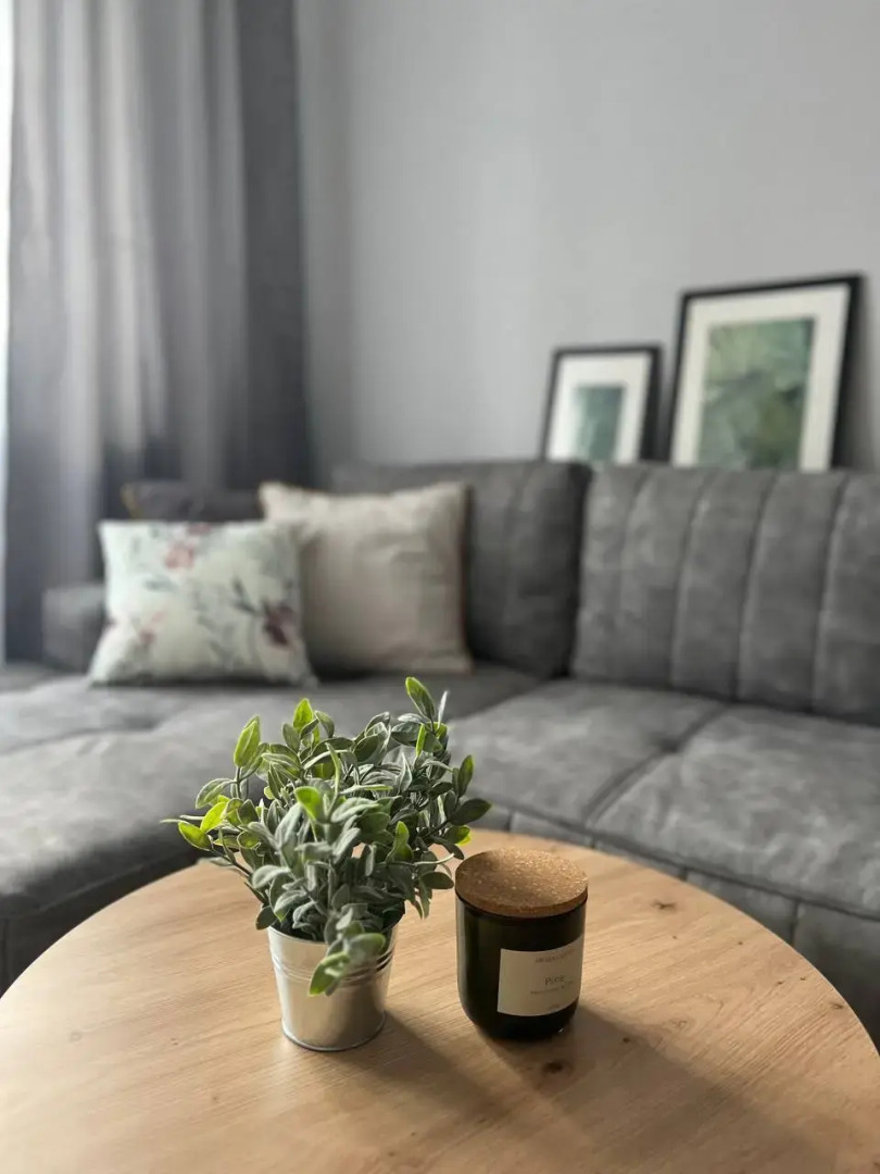 Квартира Уютная на Море Зеленоградск