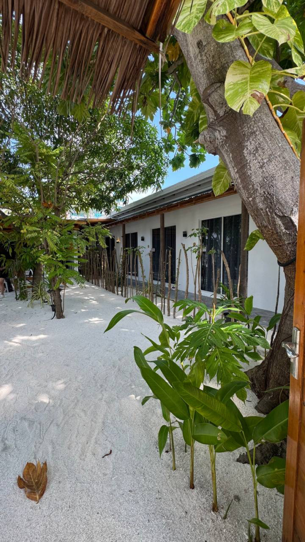 Гостевой дом Navaya Dhiffushi