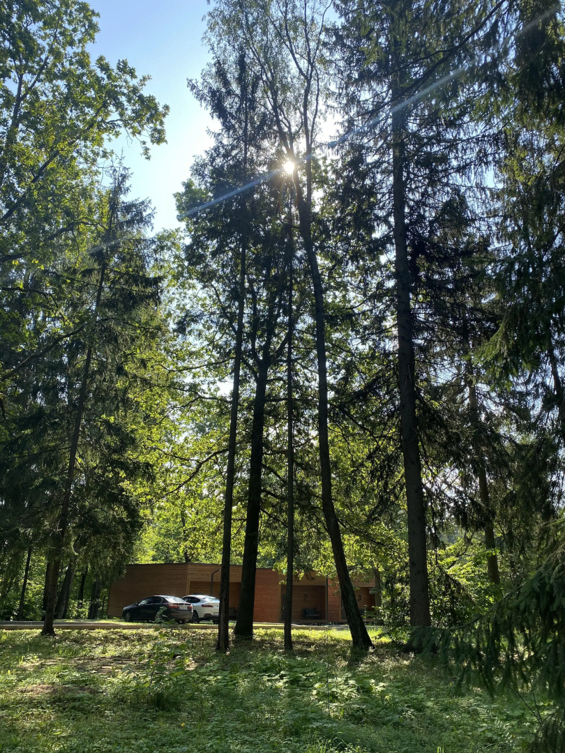 Отель Ruza Forest