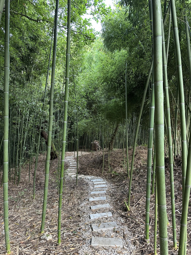 База отдыха Flora Place