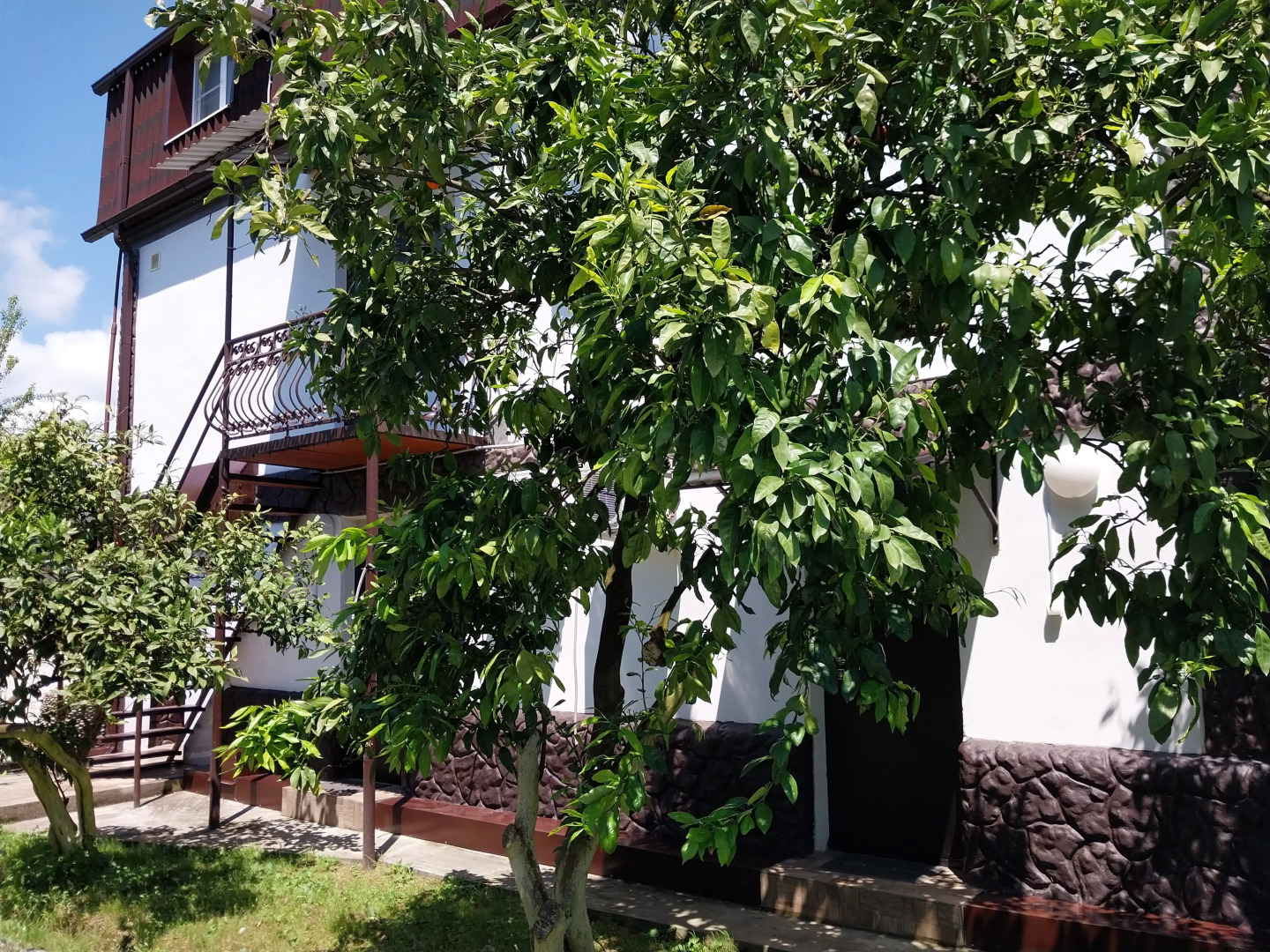 Отель Мандариновый берег