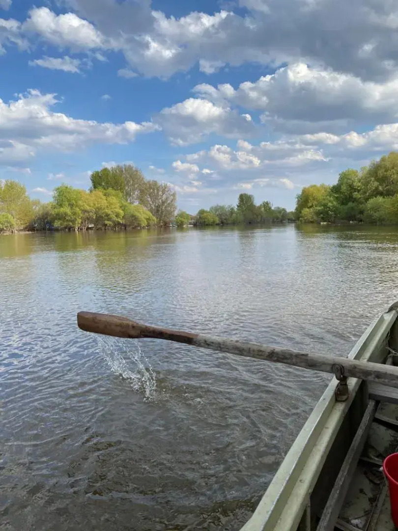 База отдыха Домик в Лотосах