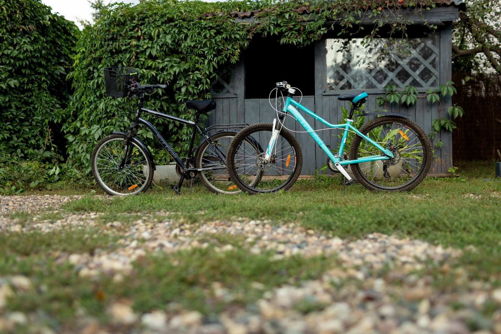 Гостевой дом Casa de Marta