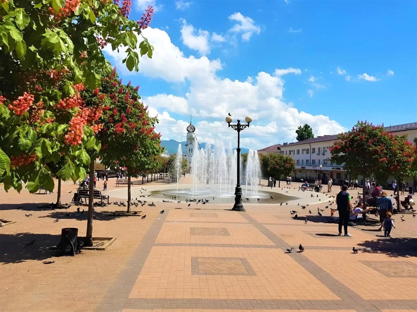 Квартира Мильфей 21-3