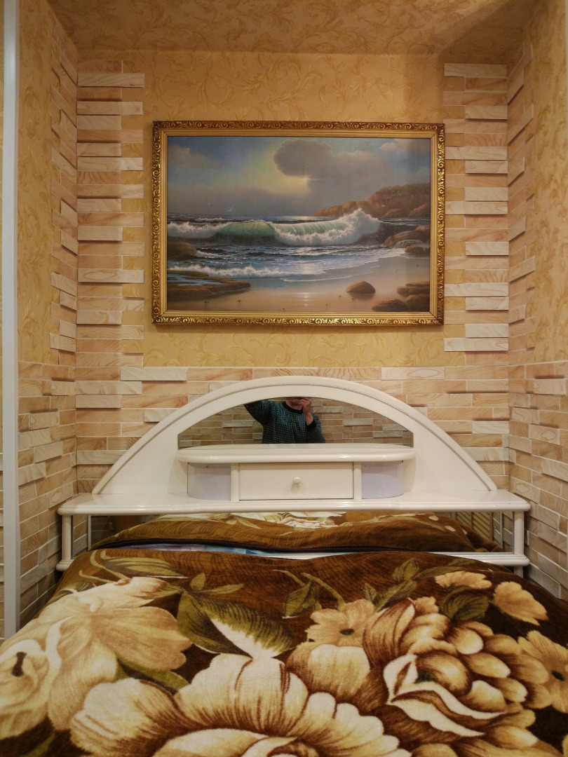 Отель Виста