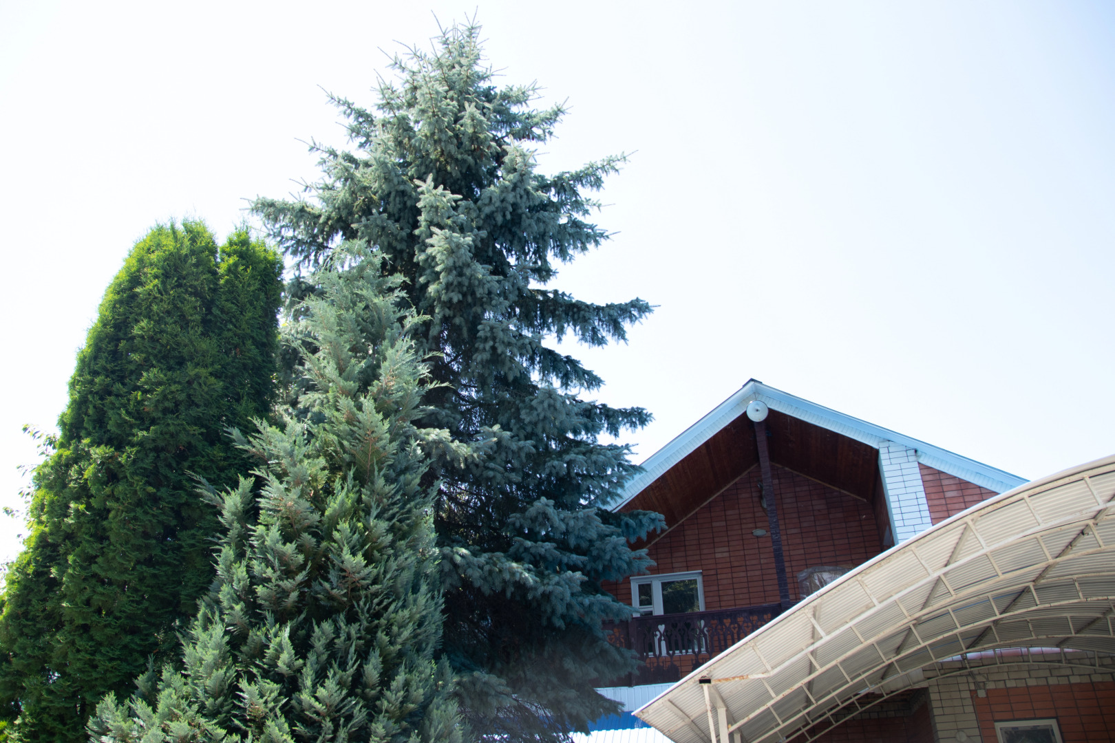 База отдыха Архыз Триумф