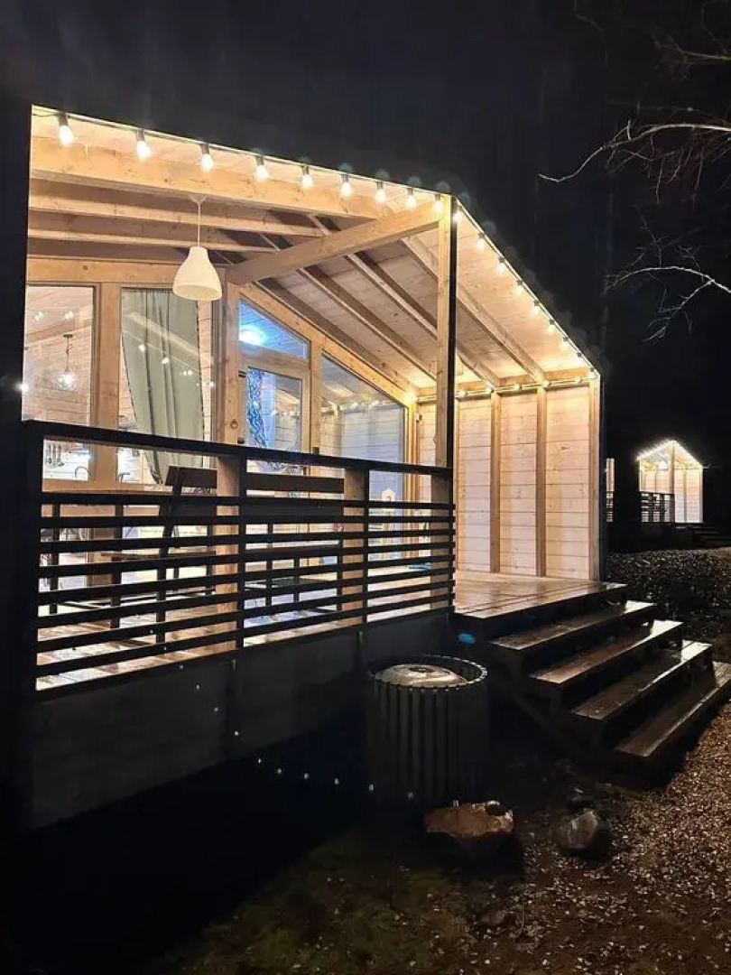 Частный дом в скандинавском стиле в березовом лесу