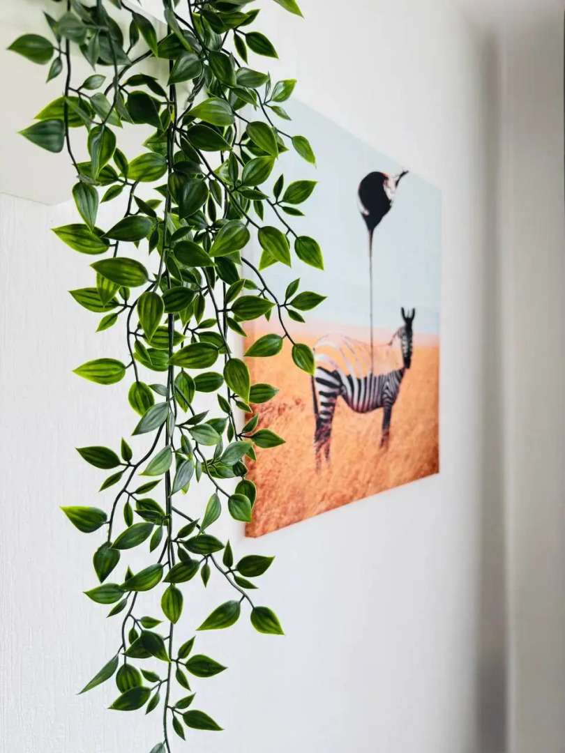 Квартира Уютная Студия