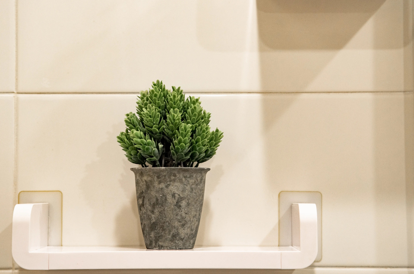 Апартаменты в Финском Заливе Рядом с Горячим Источником Волна