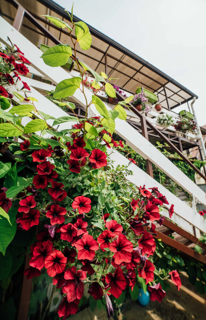 Гостевой дом Домик у Моря