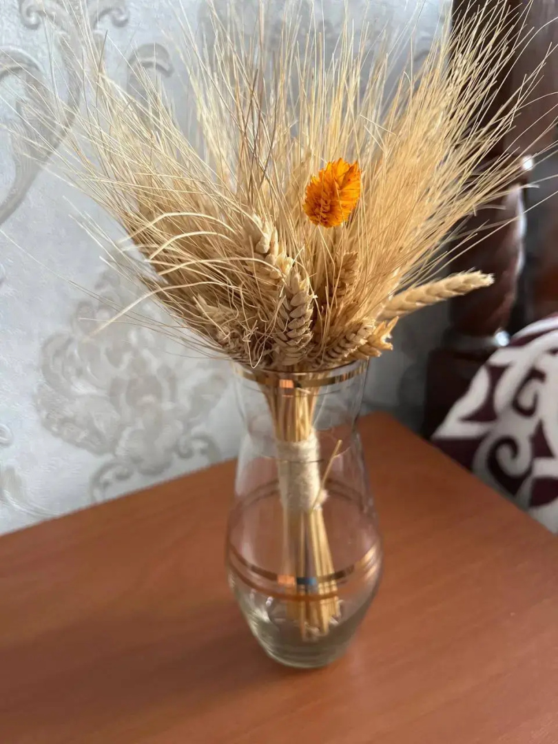 Частный дом Дом в пригороде Плёса