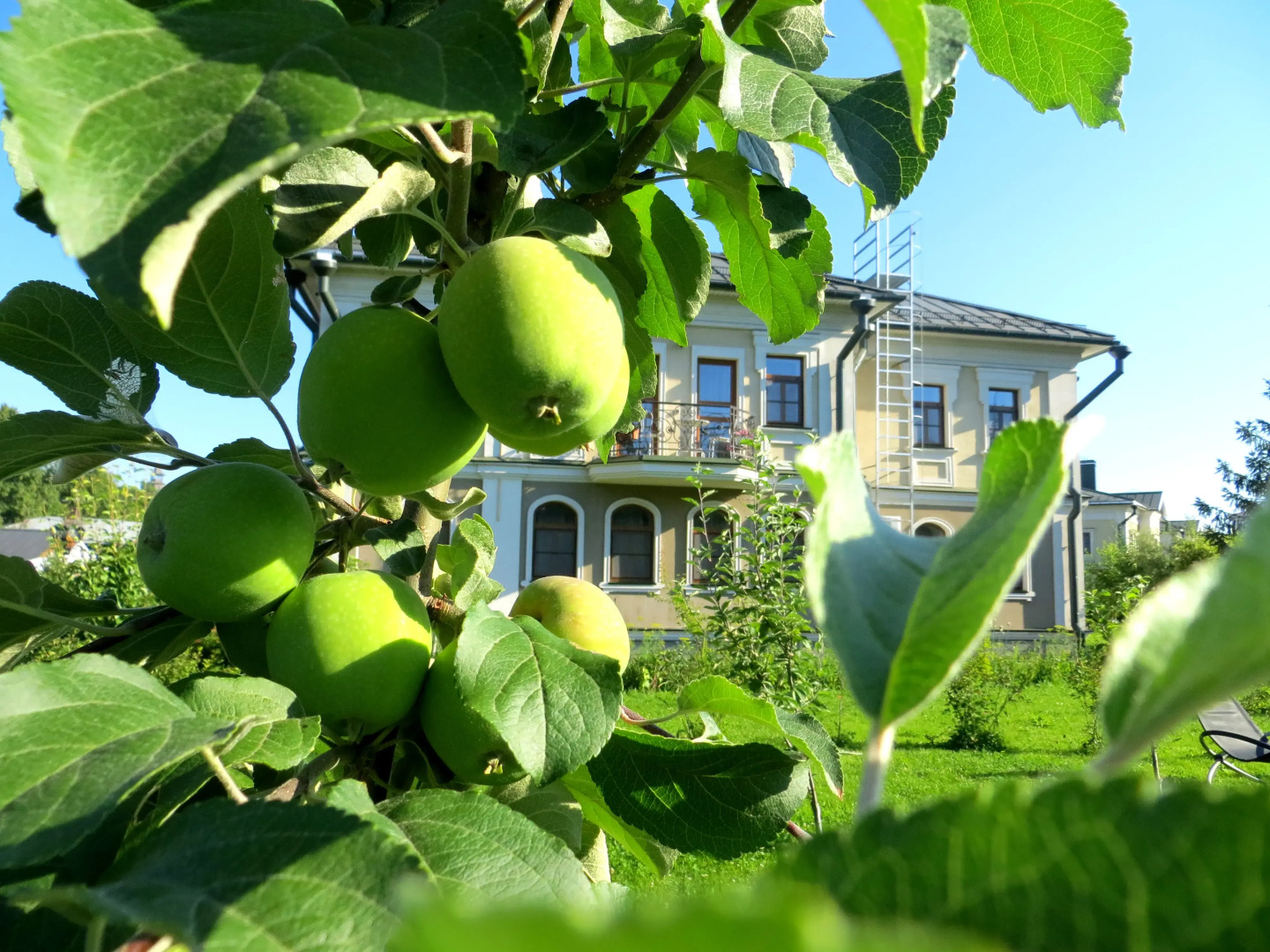 Арт-отель Николаевский Посад
