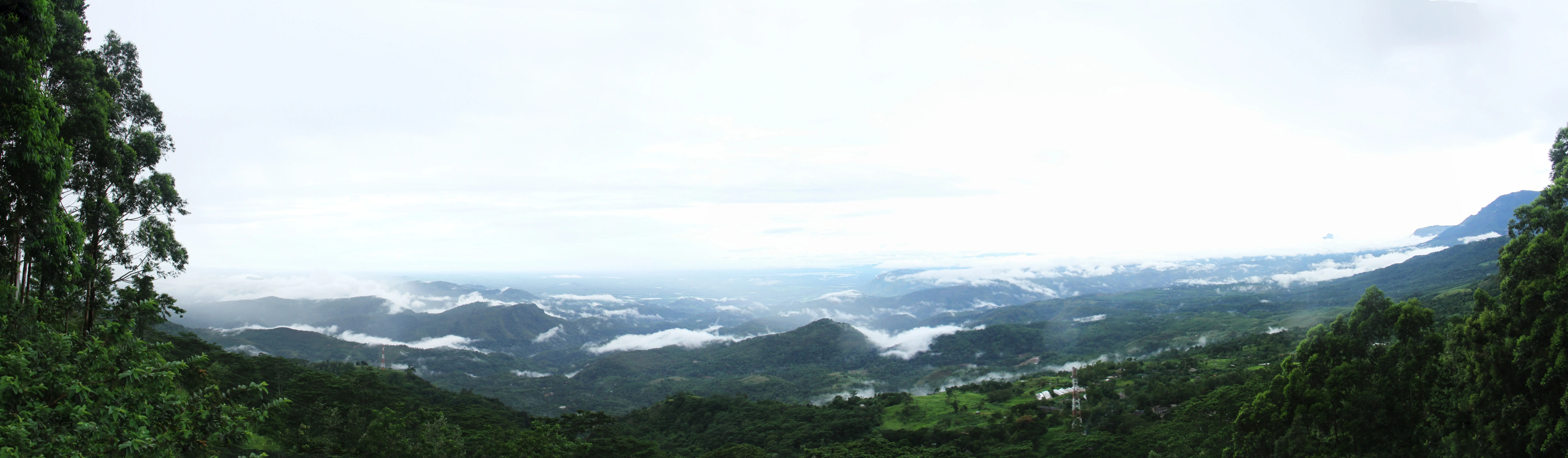 Отель Blackwood