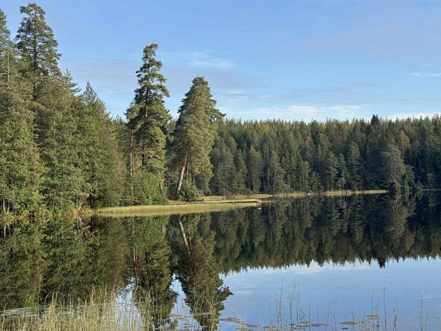Частный дом Ретро-дача в Карельской деревне